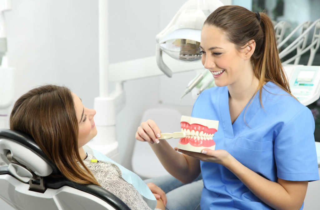 A dental hygienist showing a patient how to maintain good oral hygiene between dental exams and cleanings